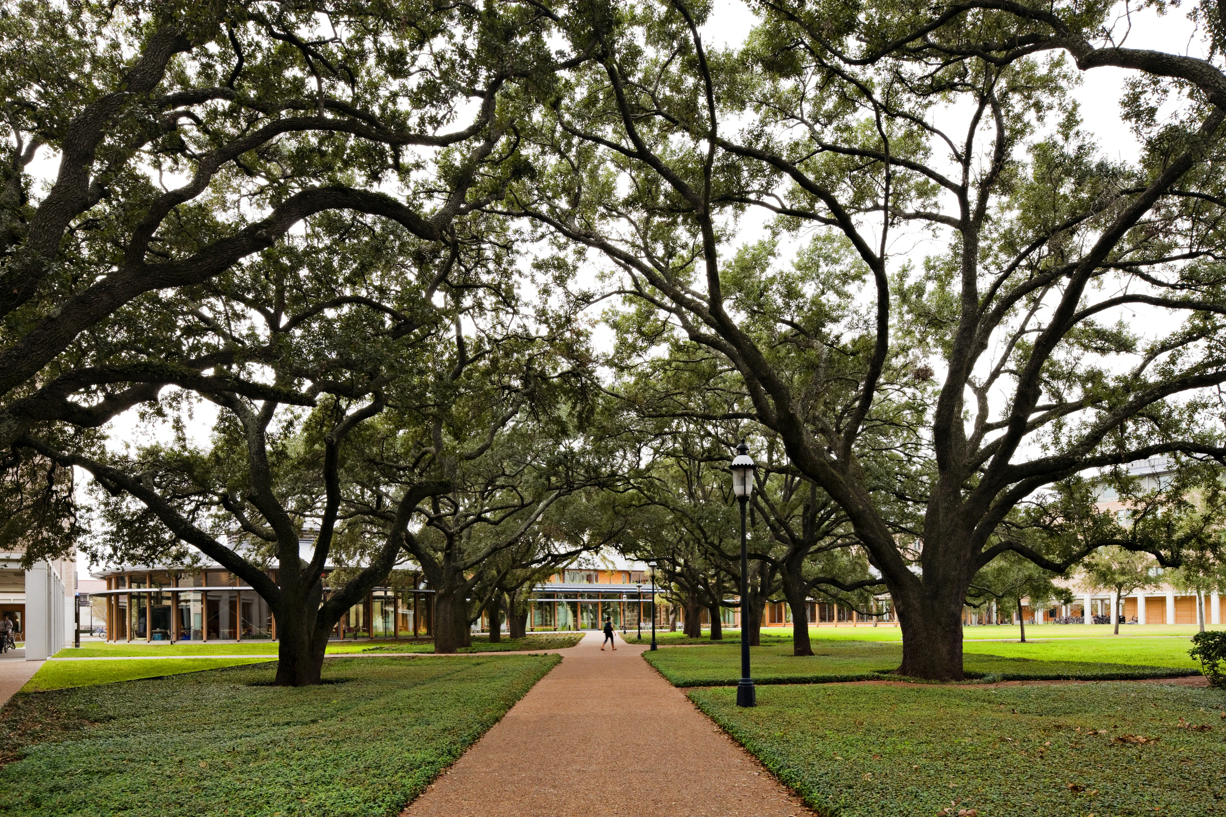 McMurtry and Duncan Residential Colleges