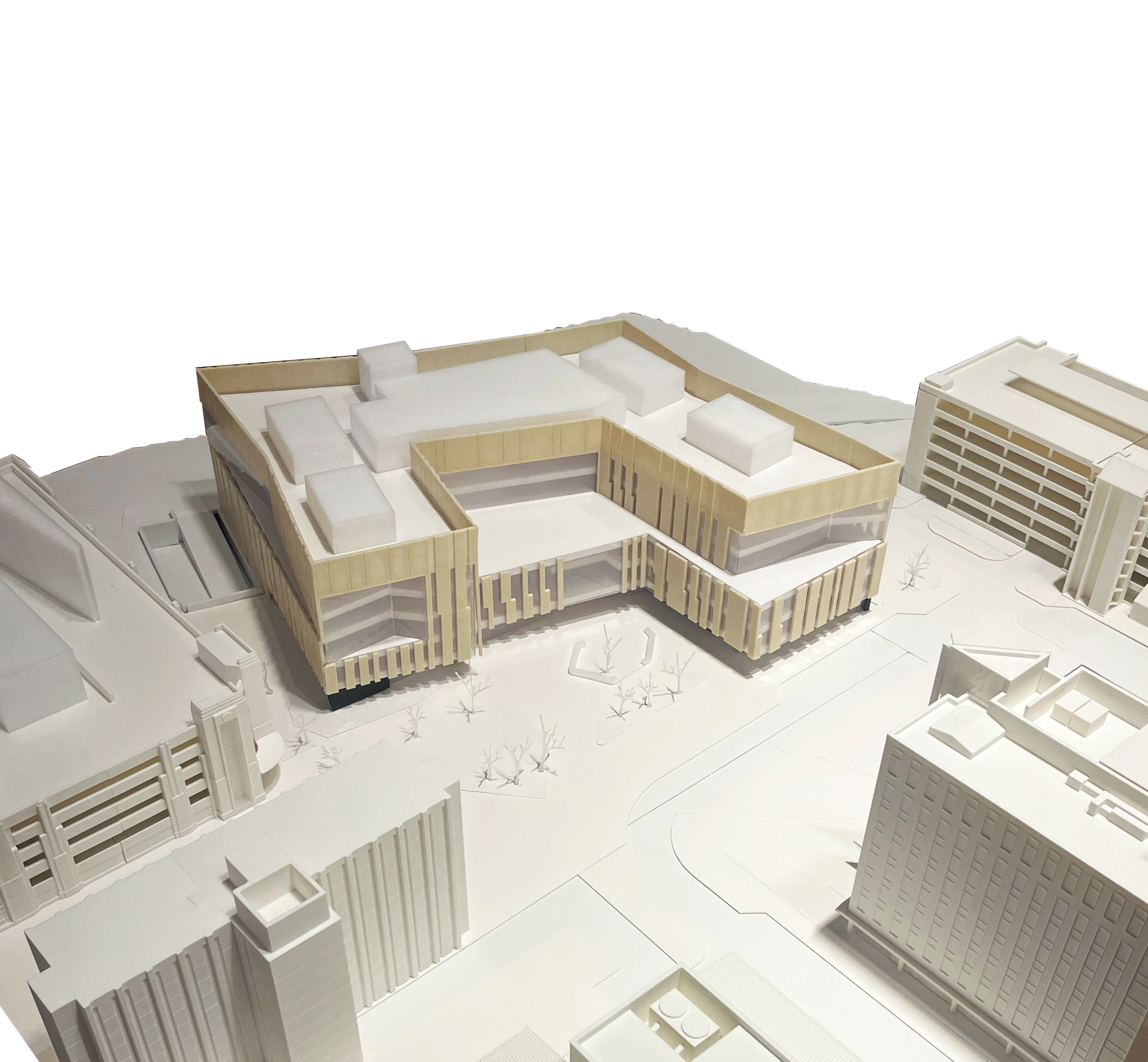 Virginia Commonwealth University School of Dentistry